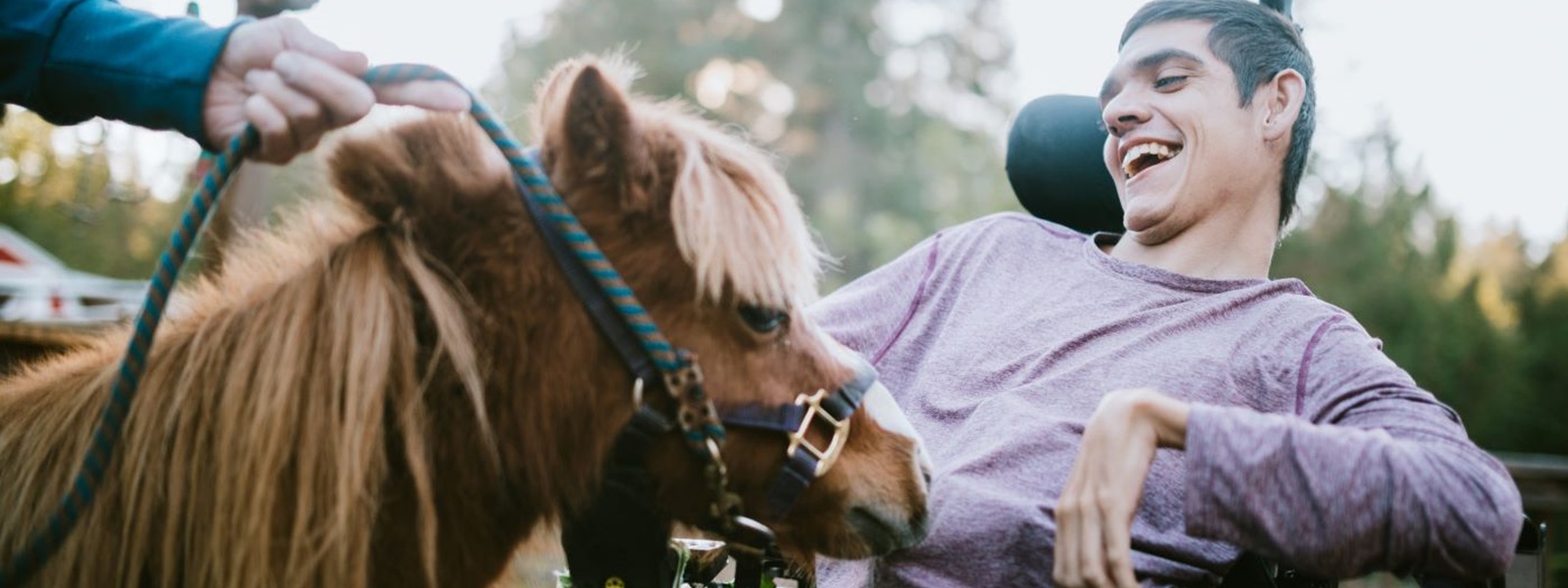 miniature horse interacts with young man in a wheelchair