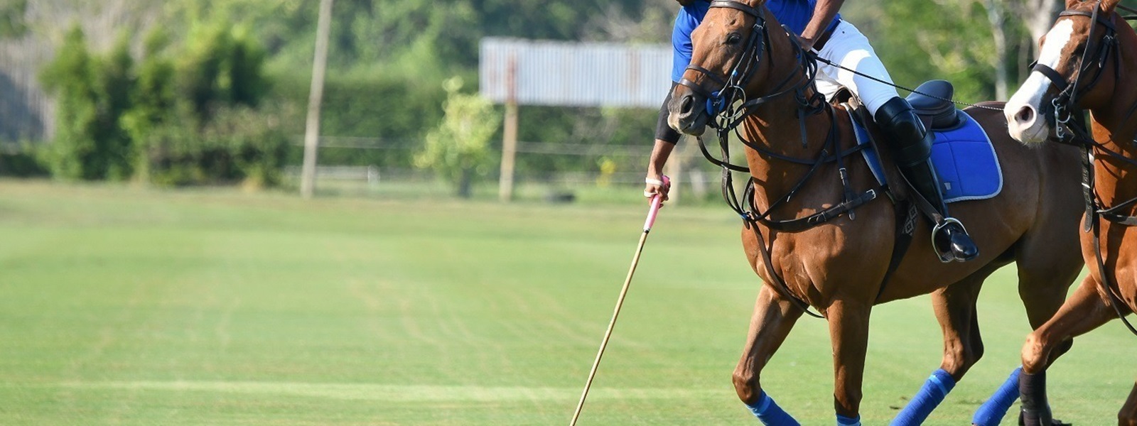 Players vie for the ball during a horse polo match